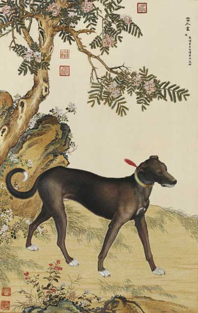 Embroidery of Greyhound Xuezhalu by Giuseppe Castiglione