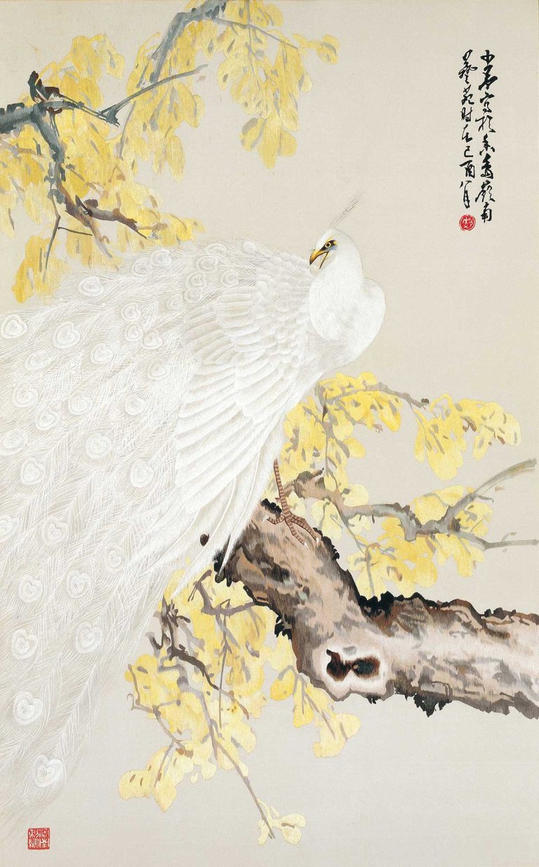 White Peacock