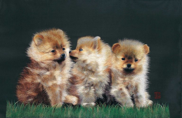 Three Puppies