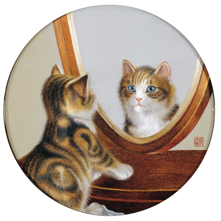 Cat’s Reflection