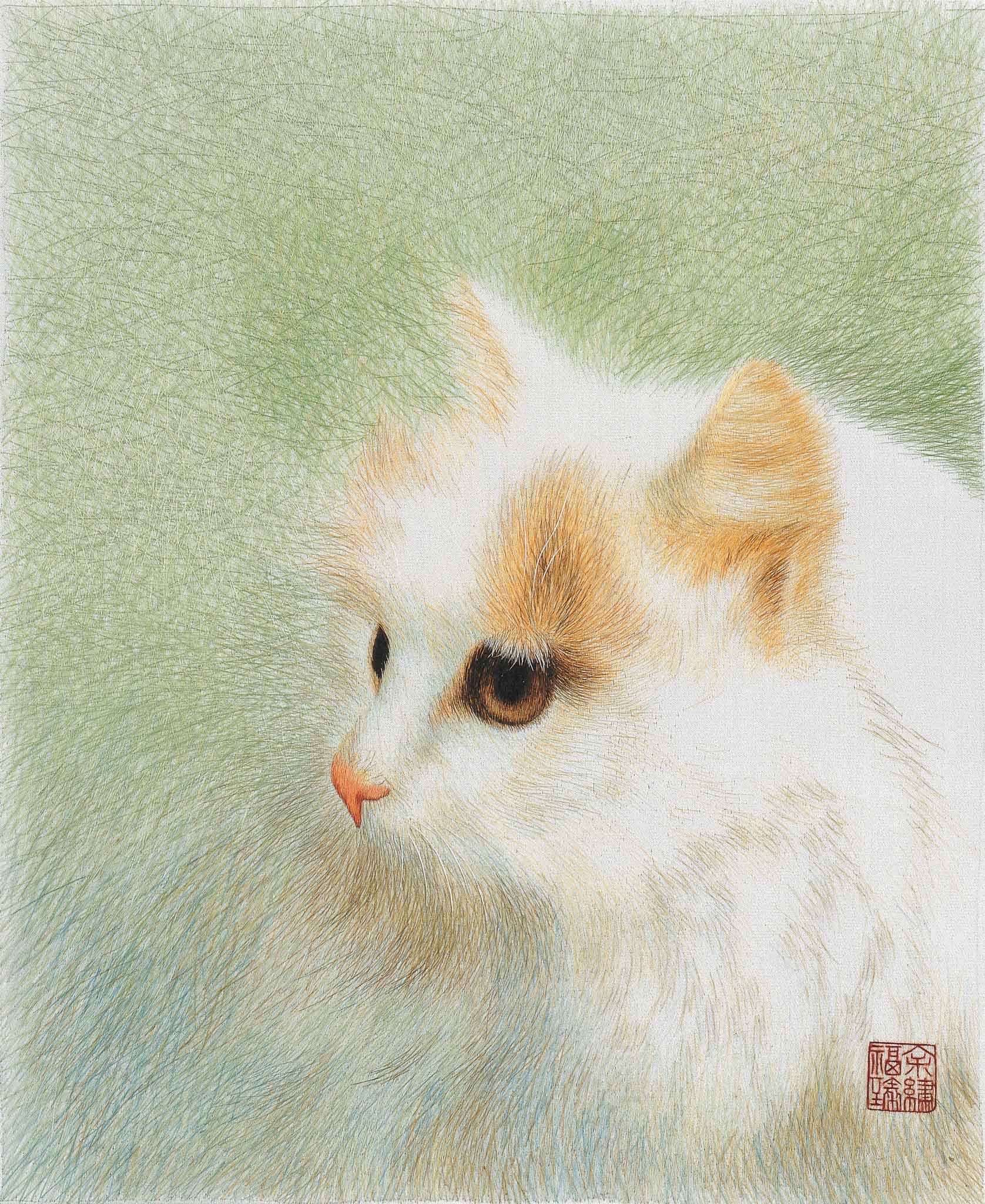 12.白貓