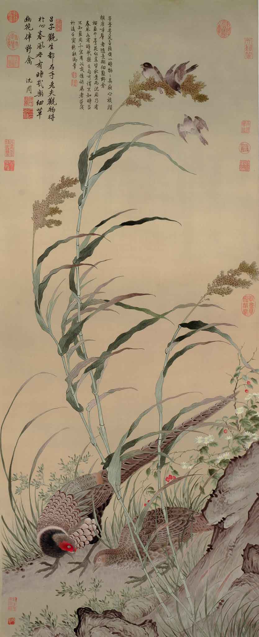 15.繡呂紀〈草花野禽〉
